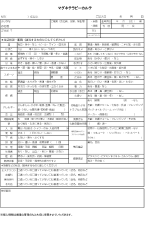 スキンケアカルテ